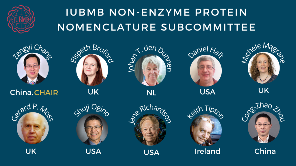 Non-Enzyme Protein Nomenclature subcommittee