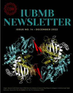IUBMB Newsletter Issue 14.pdf (December 2022)