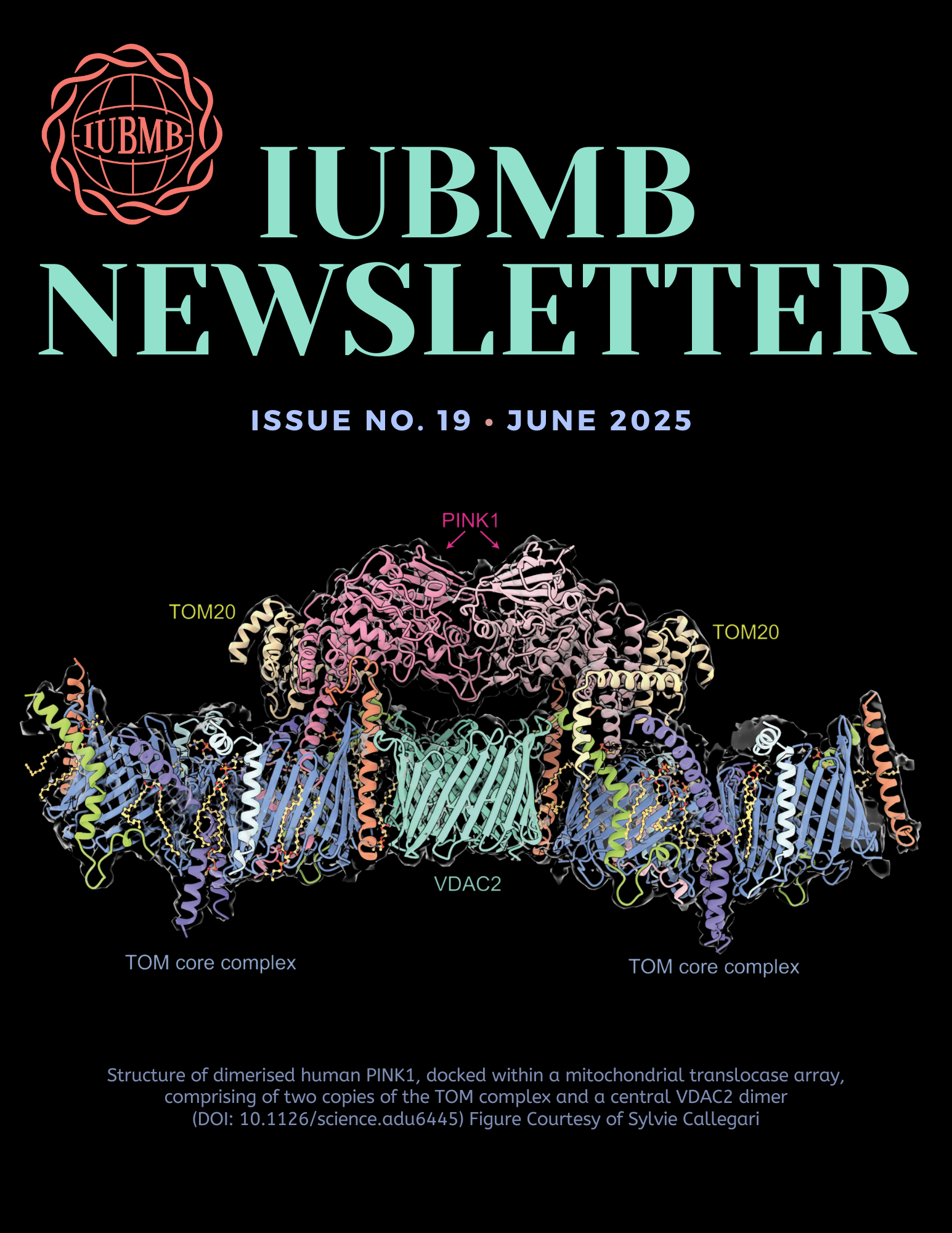 IUBMB Newsletter Issue 19_cover