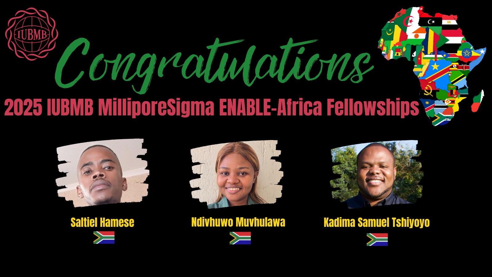2025 IUBMB MilliporeSigma ENABLE-Africa Fellowships_ALL (1)