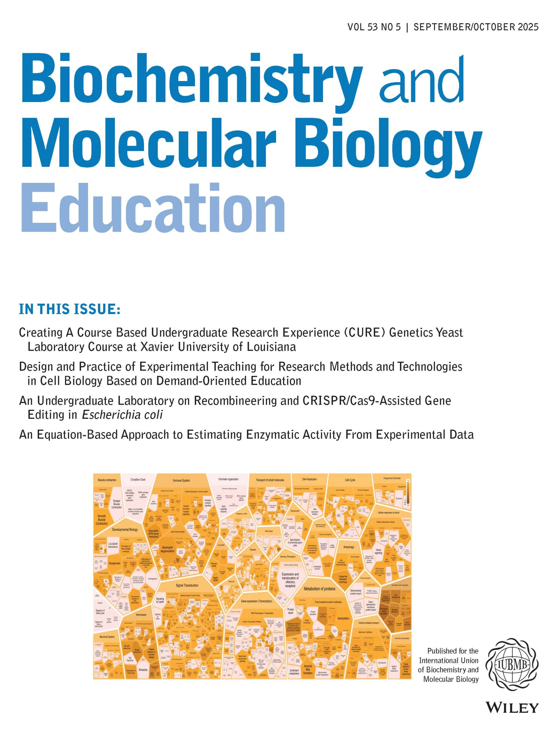 BAMBEd vol 53 i5